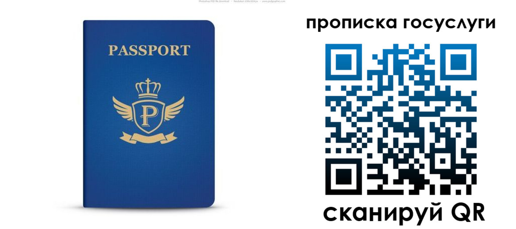 прописка для школы в Белокурихе